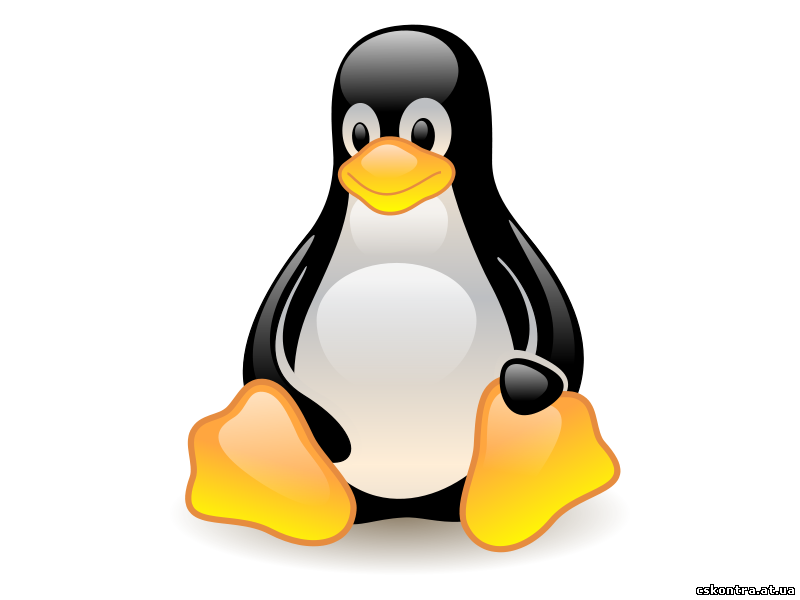 Как установить и настроить свой сервер CSS для Linux бесплатно
